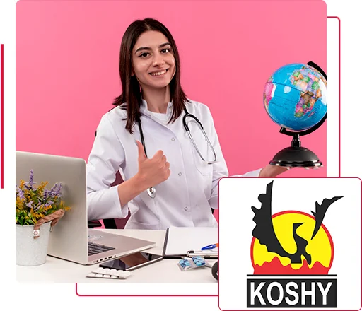 About Koshy Consultant